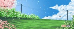 为什么有春夏秋冬 春夏秋冬的由来