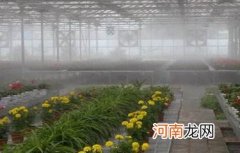 九龙坡喷雾加湿设备厂 九龙坡喷雾加湿设备