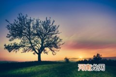 好听稀少有寓意的名字女孩 2023年肖姓女孩起名