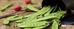 怎么确定荷兰豆是否熟 荷兰豆如何判断生熟
