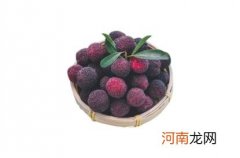 杨梅冷冻保存前需要清洗吗 杨梅先洗再冷冻还是先冷冻吃再洗