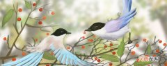 在天愿作比翼鸟是什么意思 在天愿为比翼鸟出自哪首诗