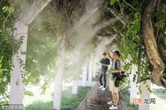 绿植喷雾加湿系统怎么用 绿植喷雾加湿系统
