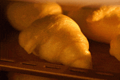 304精密不锈钢管厂家地址 304精密不锈钢管厂家