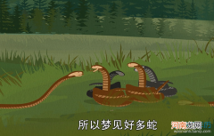 梦见把蛇杀了是什么预兆 梦见把蛇给杀了是什么意思
