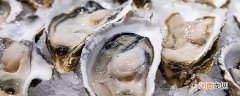 生蚝是什么