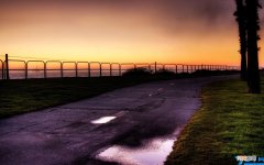 描写烟花绽放的句子 关于烟花的唯美句子大全