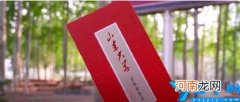 山东大学录取分数线2020
