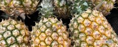菠萝怎样保存时间长 菠萝保存方法