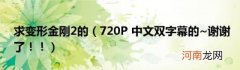 720P中文双字幕的~谢谢了！！ 求变形金刚2的