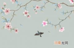 兔年出生林姓宝宝起名 2023年父母姓林宝宝叫什么好