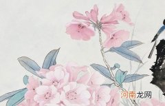 2023年文姓宝宝叫什么名字好 属兔文姓最好的名字