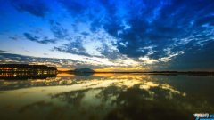 微信朋友圈发狗配什么文字 关于发狗狗的幽默说说句子