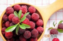 杨梅是温性水果还是寒性水果 杨梅是凉性还是热性
