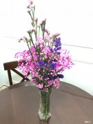 解梦花瓶 梦见漂亮的花瓶