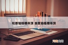 松原铝格栅吊顶 金属铝格栅吊顶