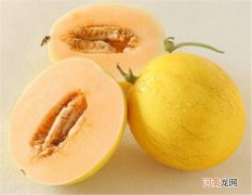 黄金瓜的营养价值