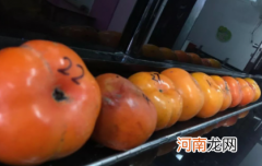 如何催熟柿子变软