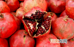 吃石榴有什么好处和功效