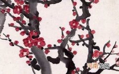 2023年五行都不缺男孩100分的名字 属兔男孩起名