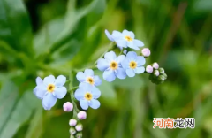 2022大学生清明假后返校要提供核算证明吗