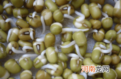在家用绿豆怎么让它发芽呢