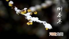 倒春寒比喻什么