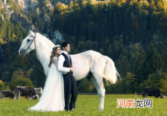 2022年重阳节结婚好不好