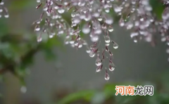 2021寒露天气冷不冷