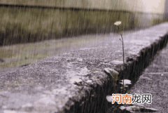 2022年春季雨水多吗
