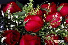 1到99朵玫瑰花语是什么，99朵玫瑰花代表什么？
