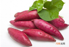 常吃红薯的好处 吃红薯也能补充维生素C吗