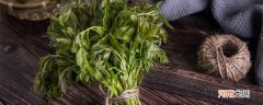 香椿叶可以生吃吗 香椿叶能吃吗