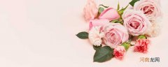 21朵粉玫瑰花语是什么 21朵粉玫瑰花语是什么意思