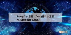 fancy是什么意思中文翻译是什么意思 fancy什么意思