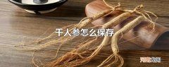 干人参怎么保存