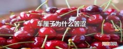 车厘子为什么苦涩