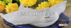 干燕窝放保鲜还是冷冻