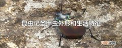 昆虫记圣甲虫外形和生活特征