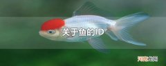 关于鱼的ID