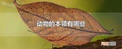动物的本领有哪些