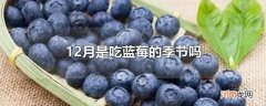 12月是吃蓝莓的季节吗