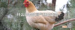 什么动物趾高气扬的走路