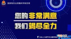 人网上办税服务平台 海南省电子税务局