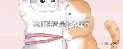 32的腰围是多少厘米