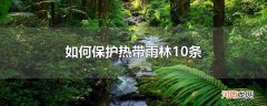 如何保护热带雨林10条