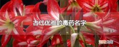 古代优雅的毒药名字