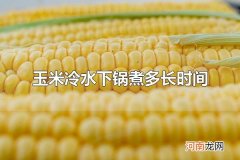 玉米冷水下锅煮多长时间 玉米有什么吃法