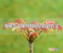 香椿怎么保存时间长的好方法 香椿属于什么植物