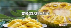 菠萝蜜吃哪里的肉